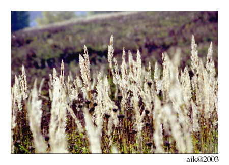 Однажды утром.