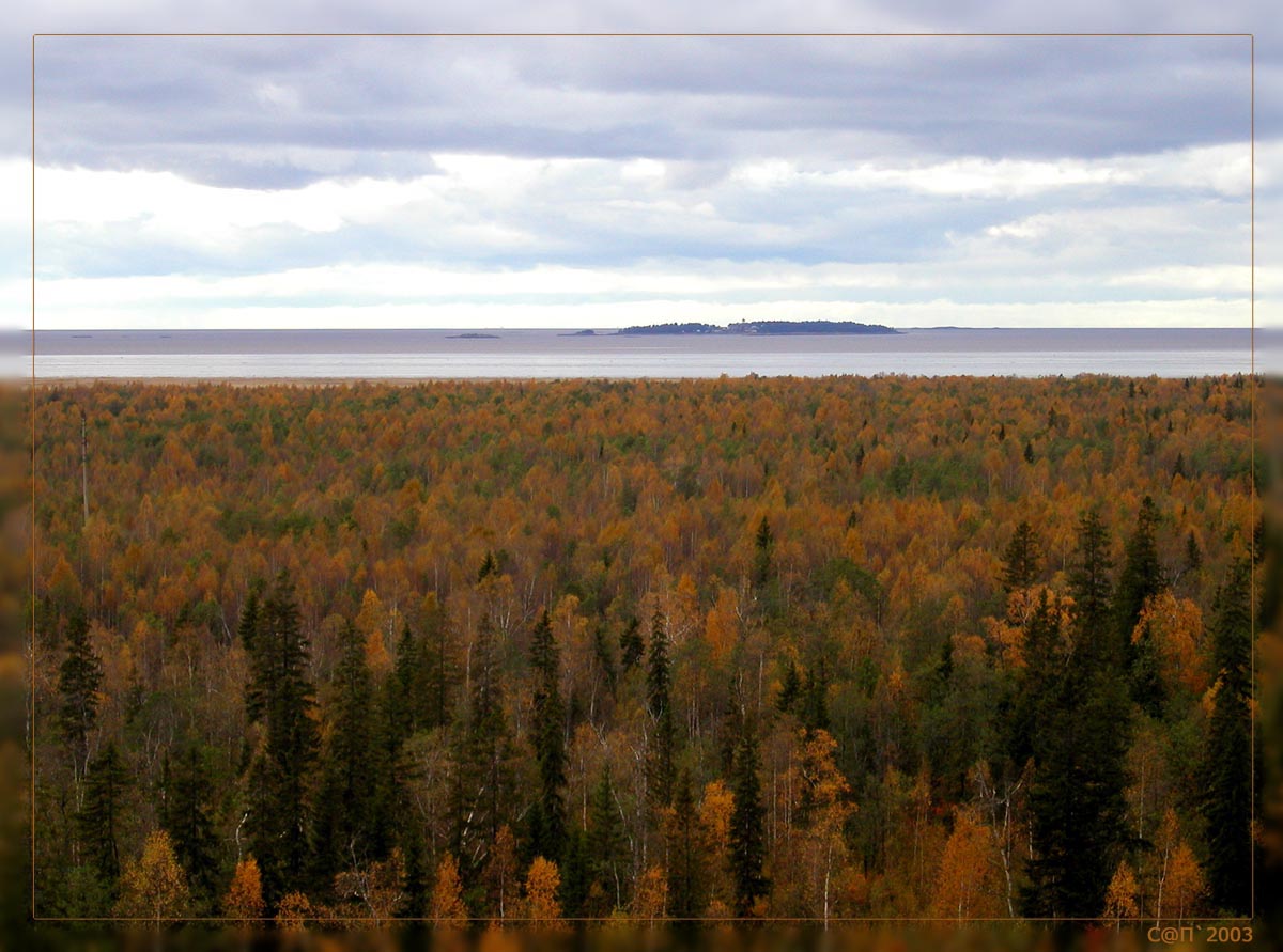 Беломорские сказки 5