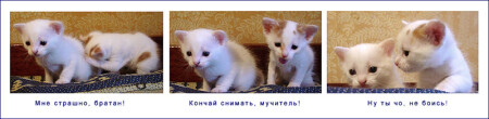Двойня. Комикс.