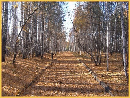 Осенняя дорожка