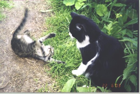 Смотри, как я умею!