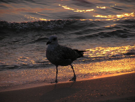 избитая тема