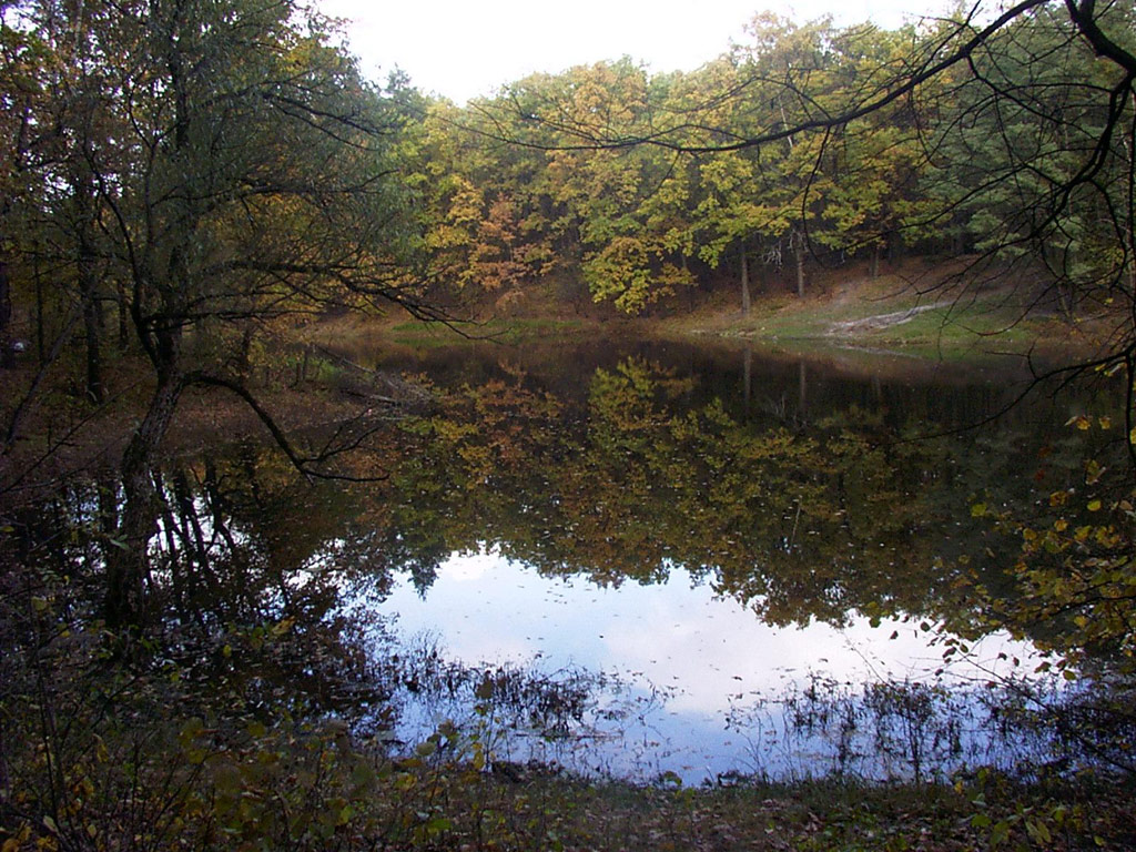 Осень. Киев