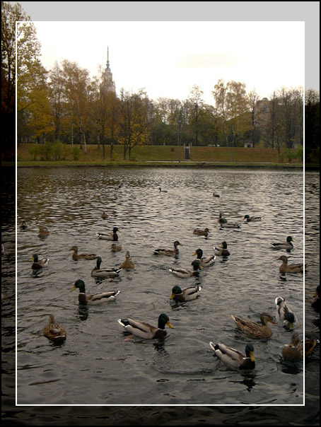 Отдохнем, перекусим, и полетим в теплые края
