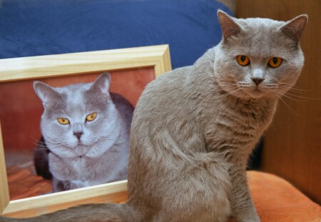 Двойной портрет