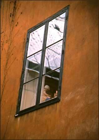 Окно в Рождество