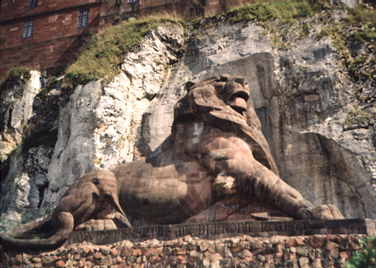 Lion King