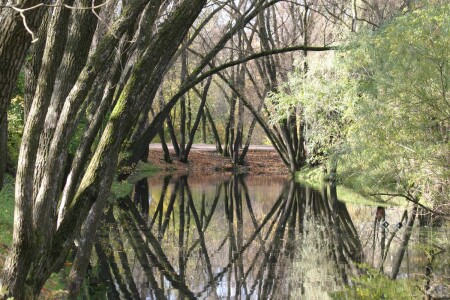 Не придумать название