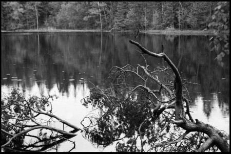 беспомощный