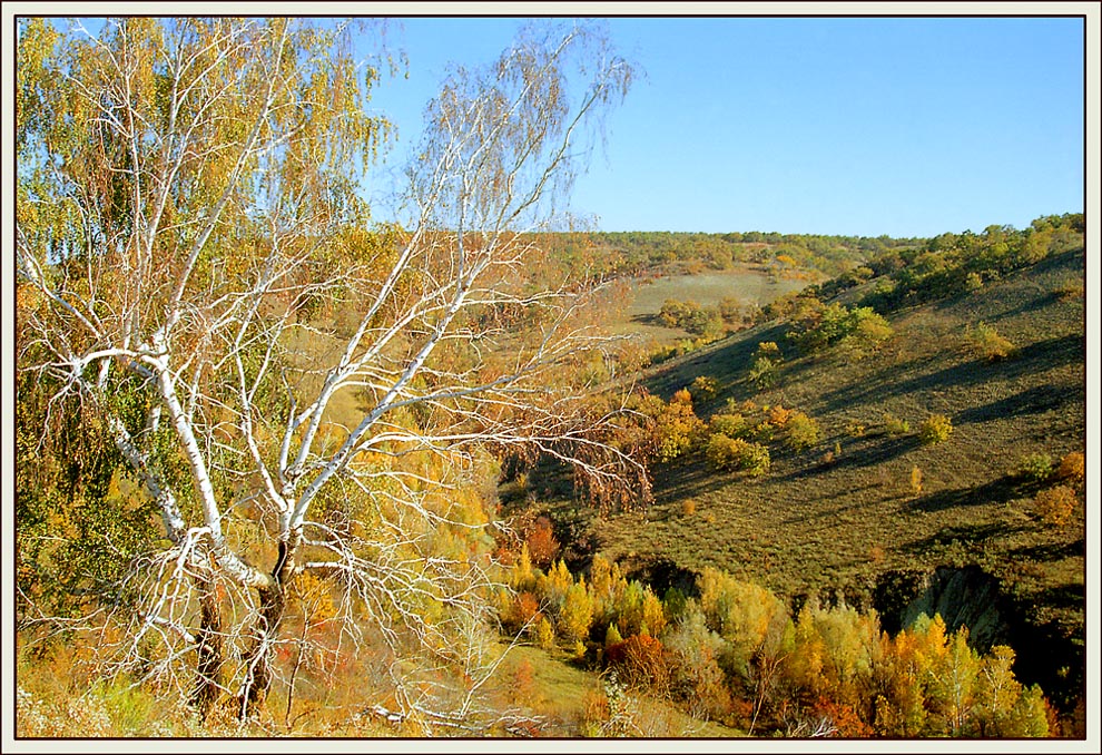 Прозрачное осеннее утро