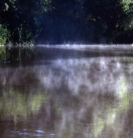 Вылез я из палатки...