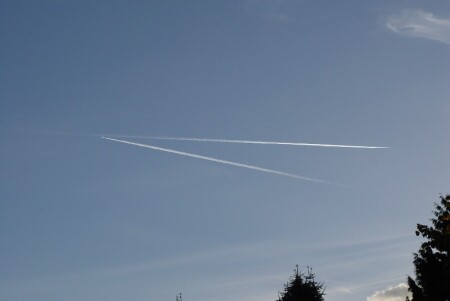 Разлетелись...