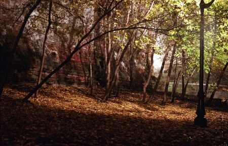 без названия