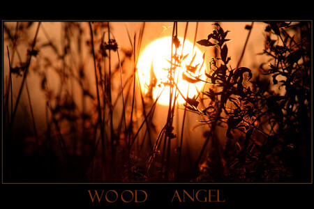 лесной ангел