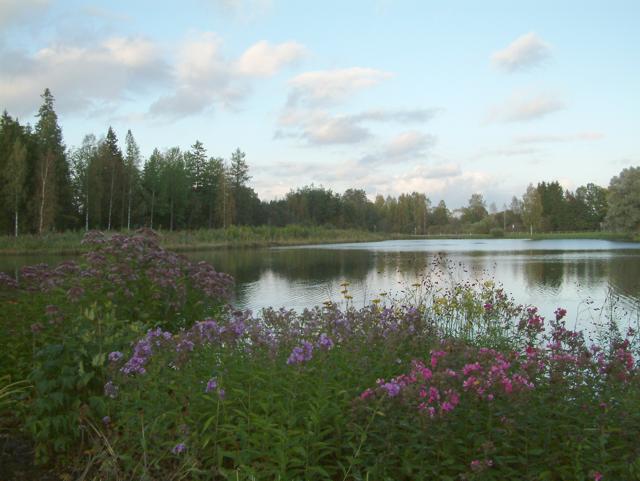 Вечер, озеро, цветы