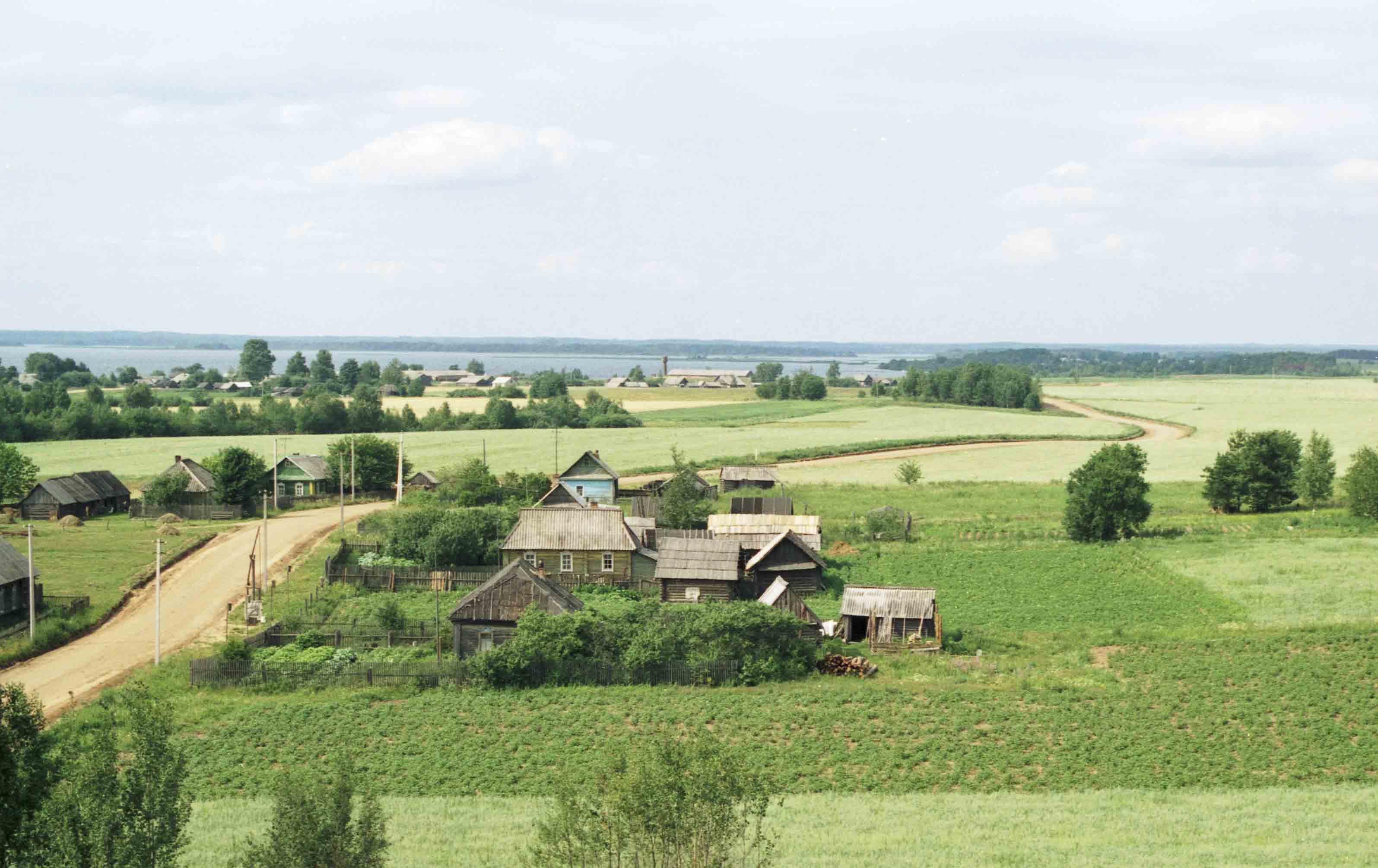 Деревня Спичино Псковская область