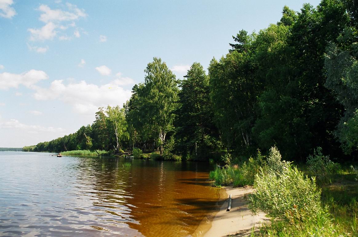 Берег