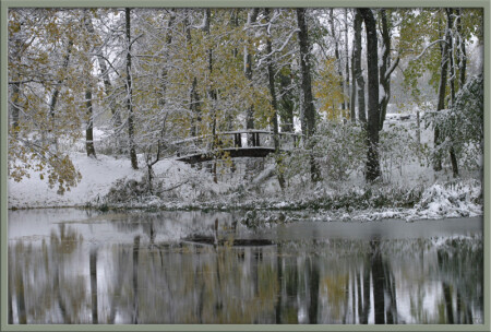 зелёная зима