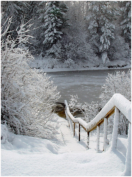 Замело