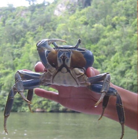 Разрешите познакомиться :)