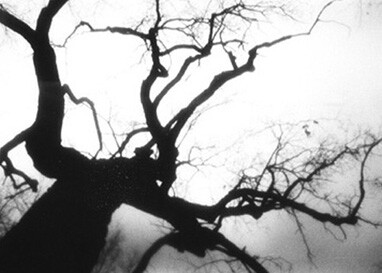 жесты трагедий