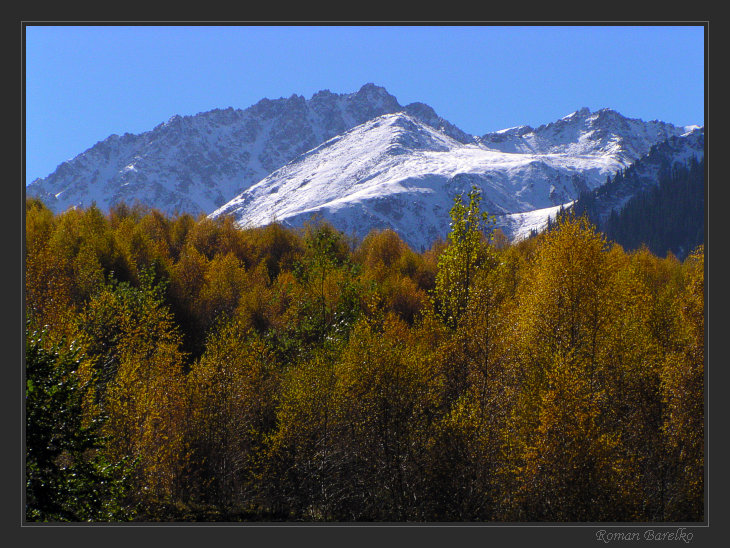 Осенний маскарад (5)