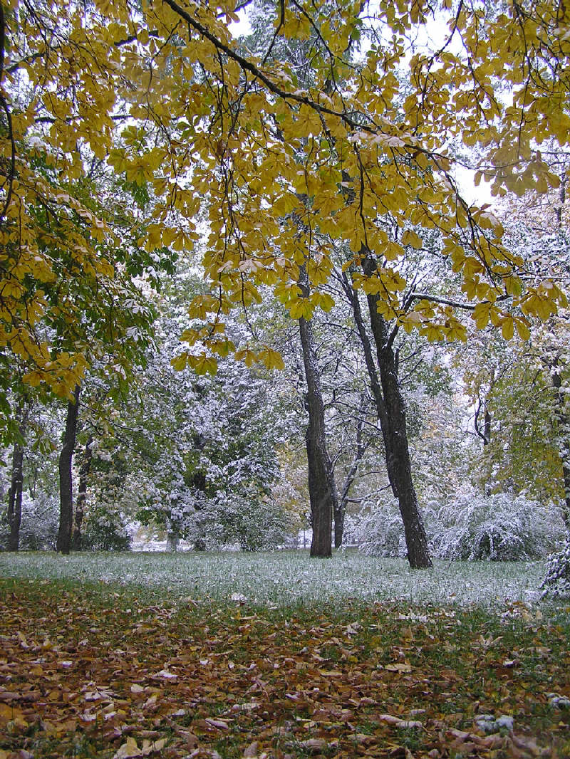 Границы осени с зимой.