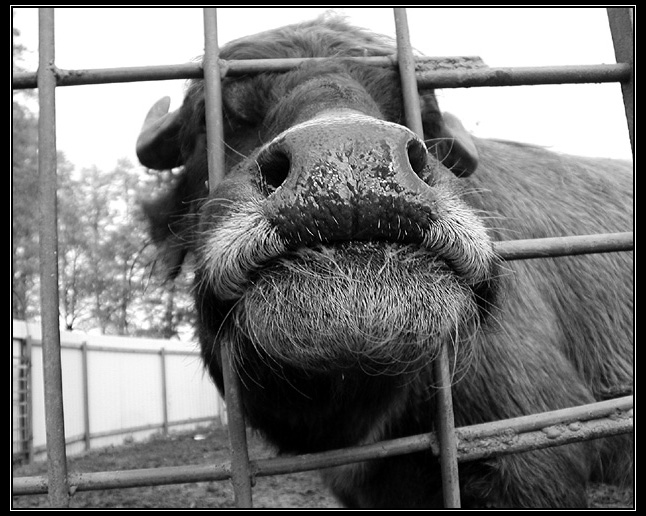 Kiss me