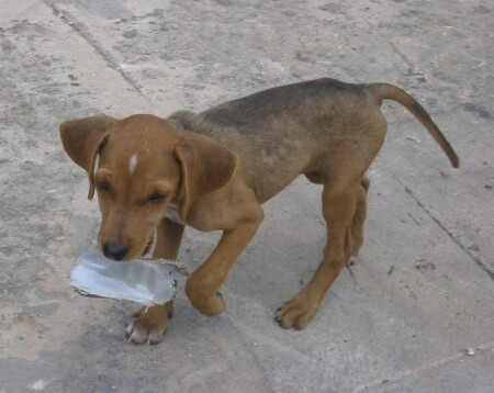 "А разве это не то, что просили?.."