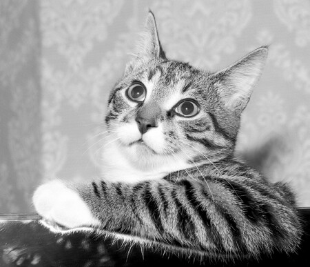 Взгляд - весь в раздумье..