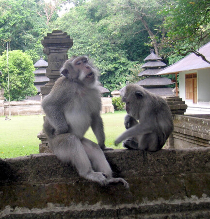 Первый парень на деревне