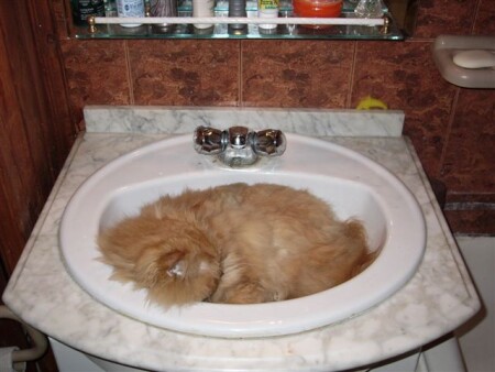 Крепкий сон