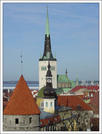 крышы... башни... флюгера...