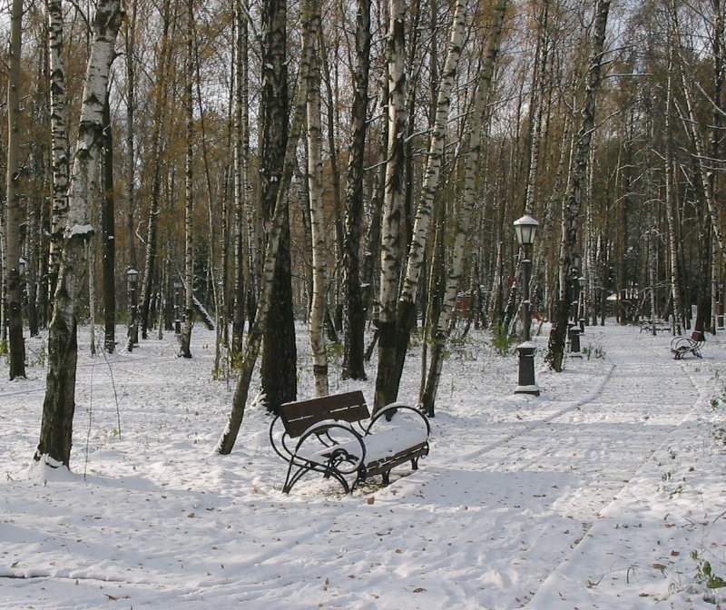 Первый снег ...