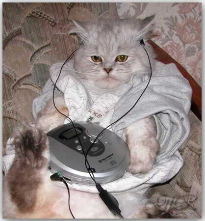 Балдею от hip-hop