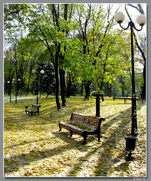 Мариинский парк