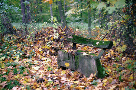 Осенний этюд 2