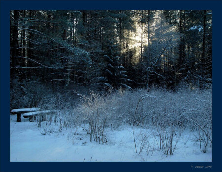 тепло мачехи