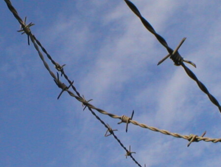 по своему на чужое...