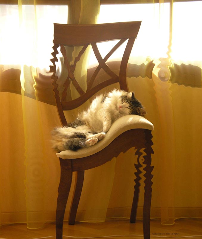 Кошкин сон