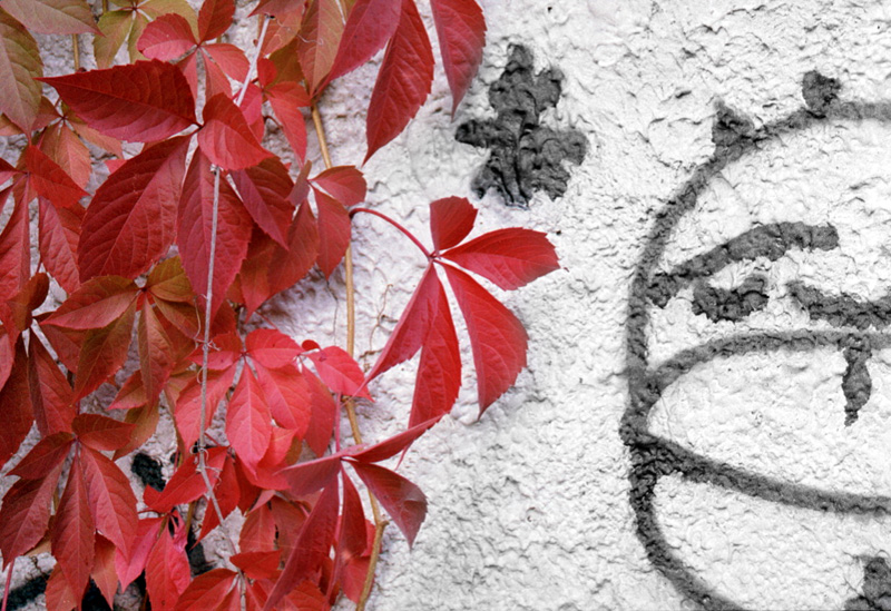 Graffiti