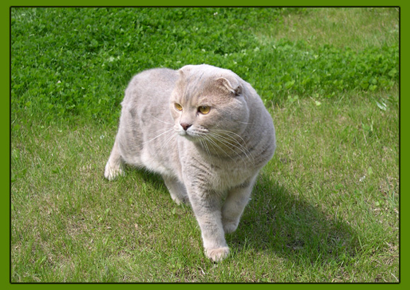 Охотник