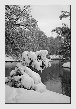 Первый снег