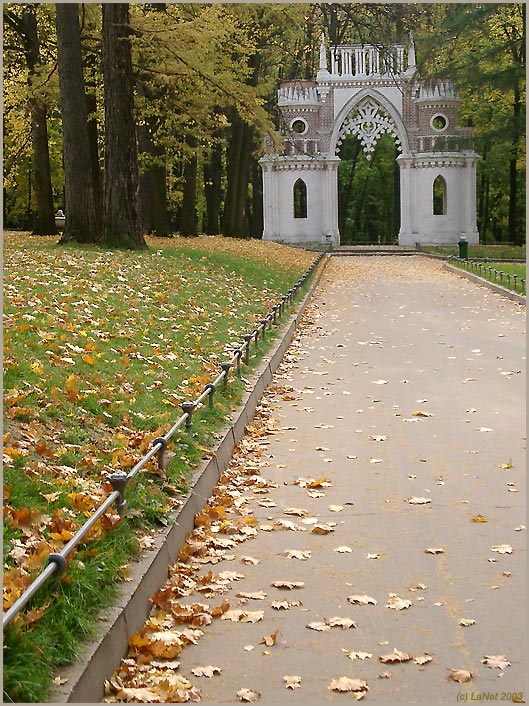 Осенней тропой