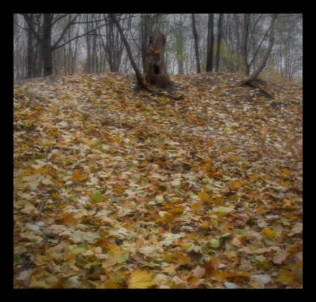 Сказка о сердитом пне