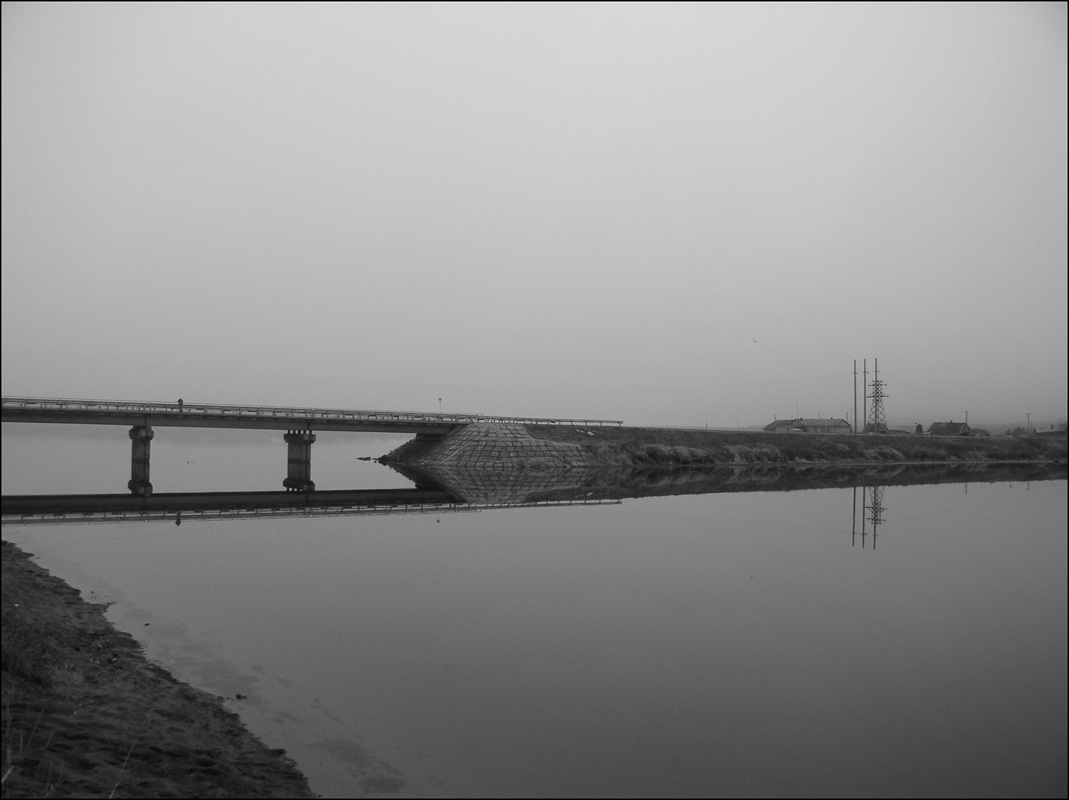 reflection