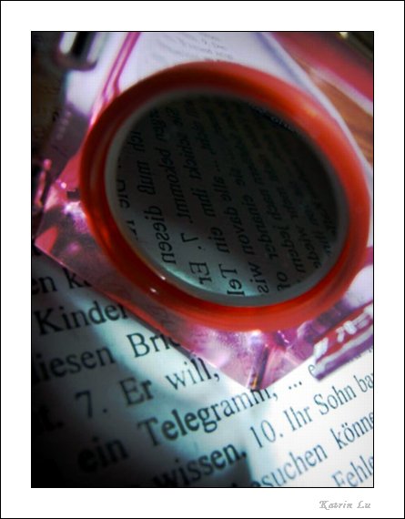 Texto de Estee Lauder