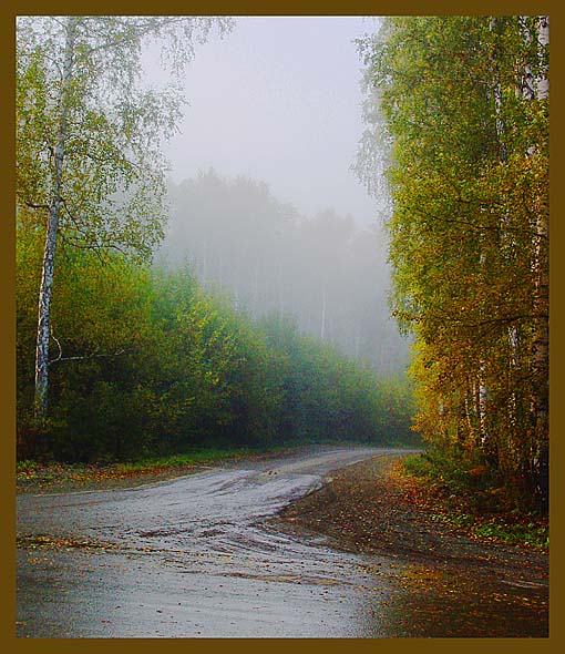 Дорога в лес, конец асфальта