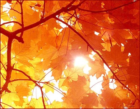 Небо Канады