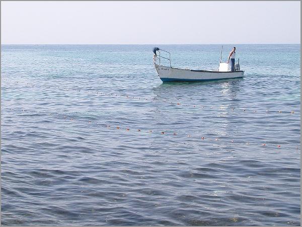 &#1056;&#1099;&#1073;&#1072;&#1082; &#1080; &#1084;&#1086;&#1088;&#1077;...